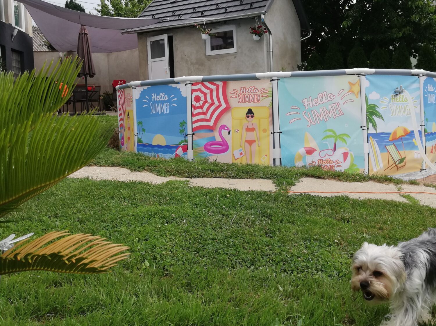 Kerti medence vidám dekorral